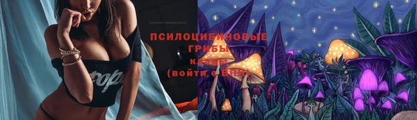 трава Абаза
