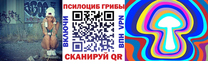 Псилоцибиновые грибы мицелий  Южа 